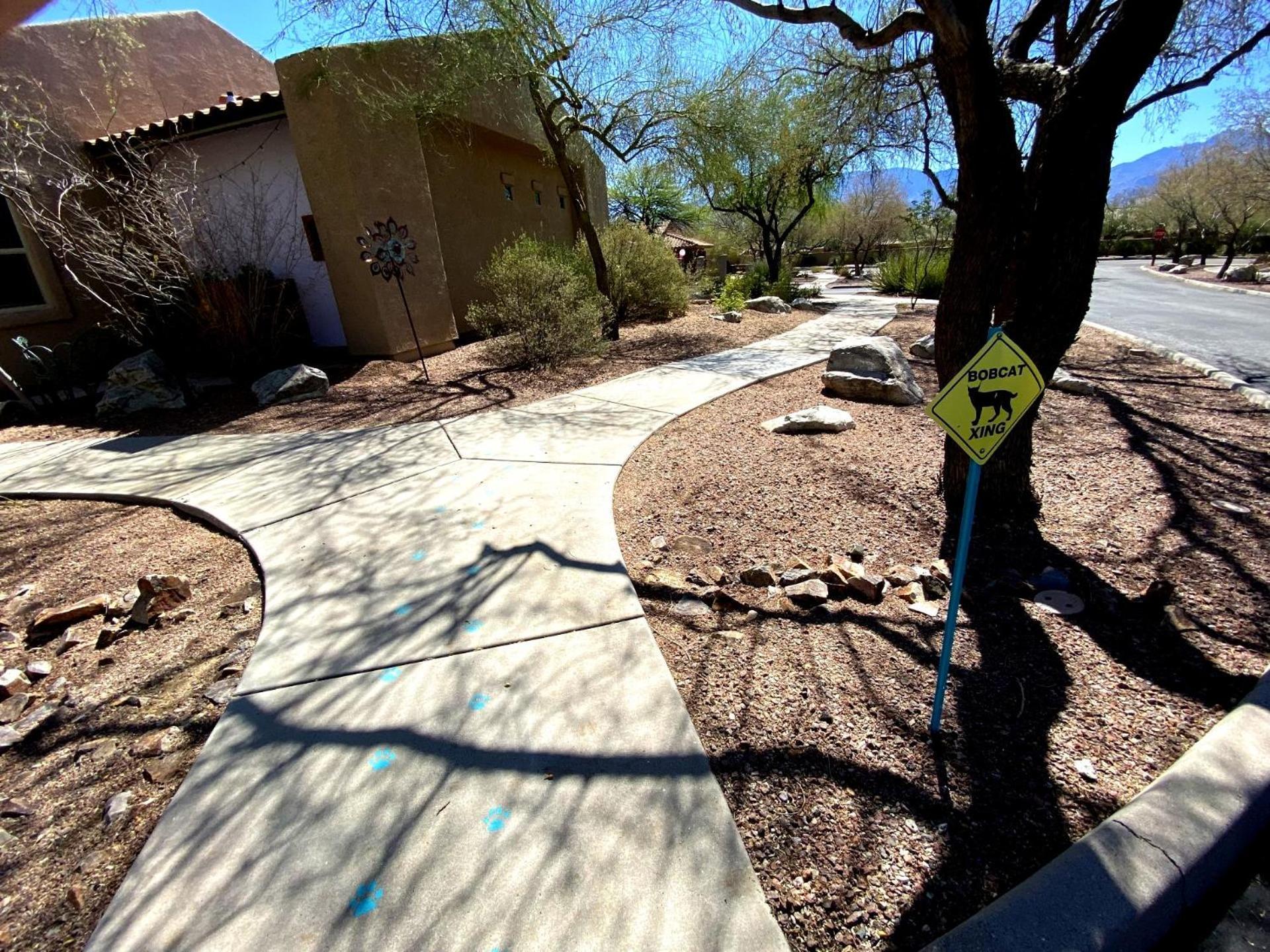 Worldmark Rancho Vistoso Oro Valley Kültér fotó